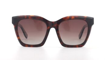 Gafas de Sol ODDA 8207 C2 - Óptica Ocaña Visión
