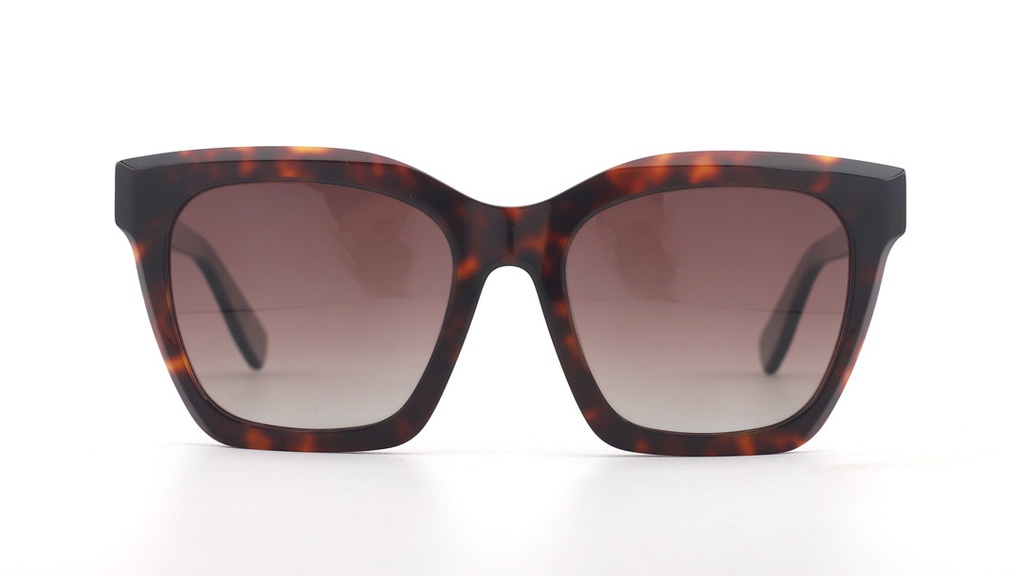 Gafas de Sol ODDA 8207 C2 - Óptica Ocaña Visión