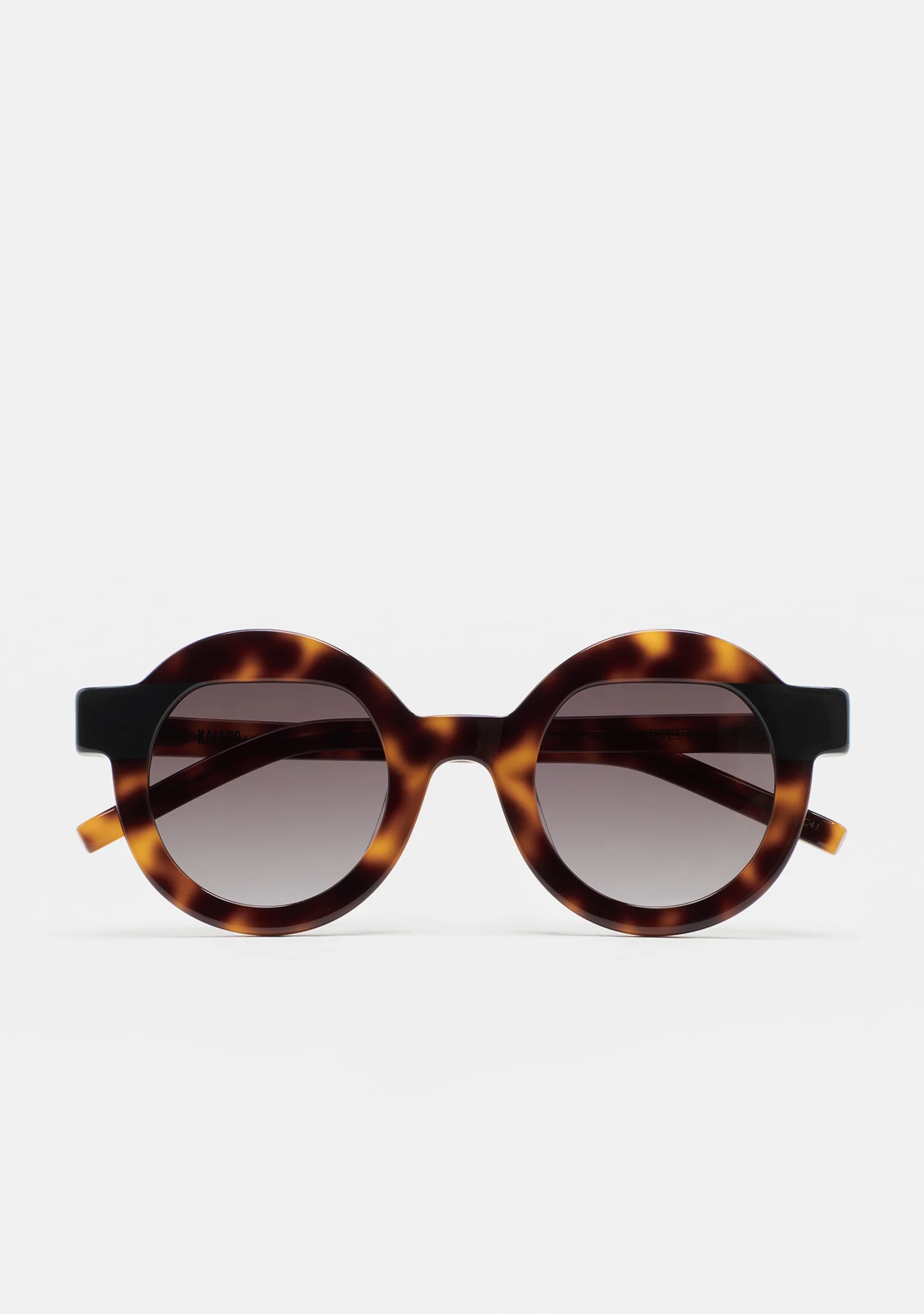 Gafas de Sol Kaleos Pollitt II 02 - Óptica Ocaña Visión